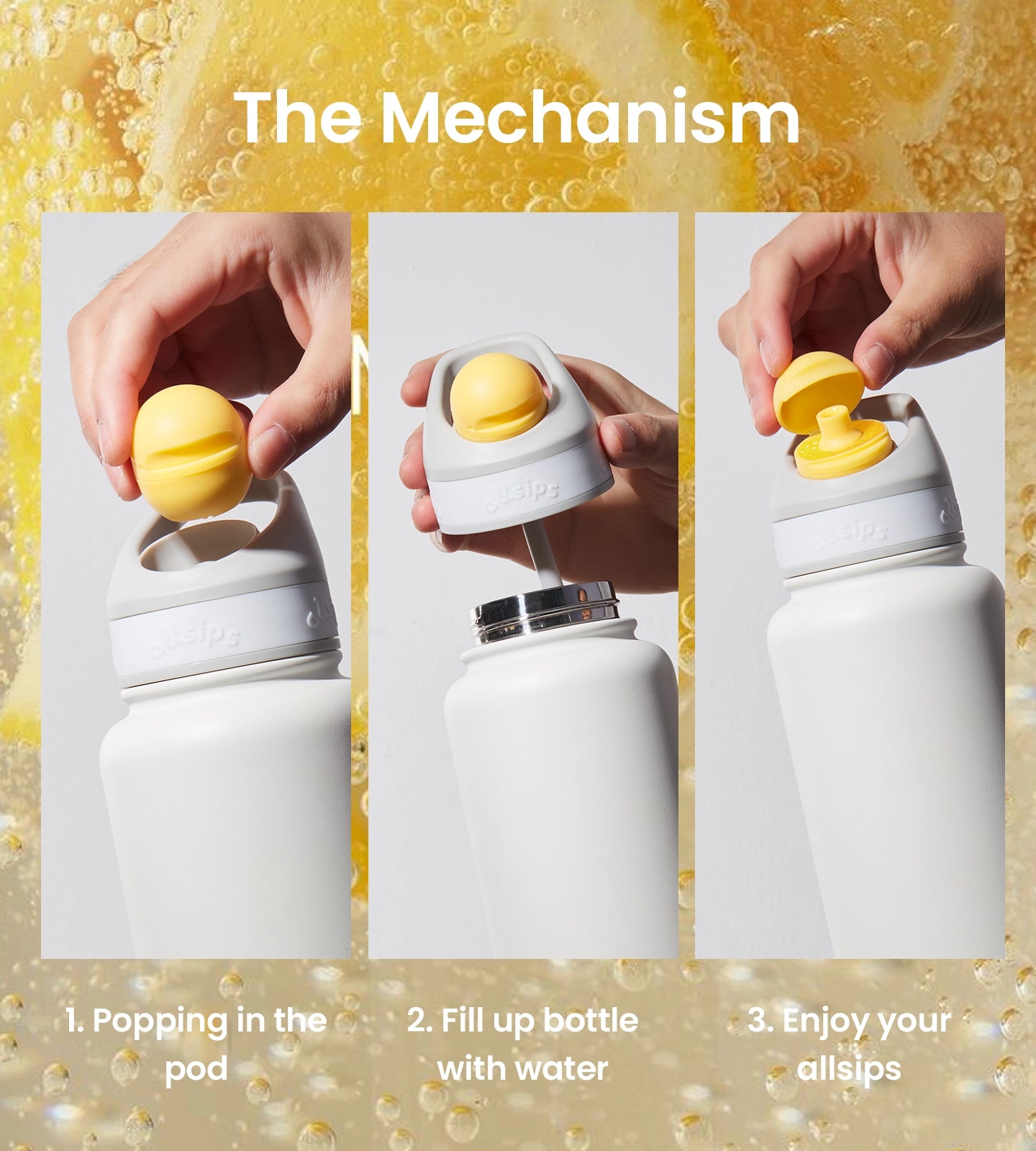 Limited Edition Bundle