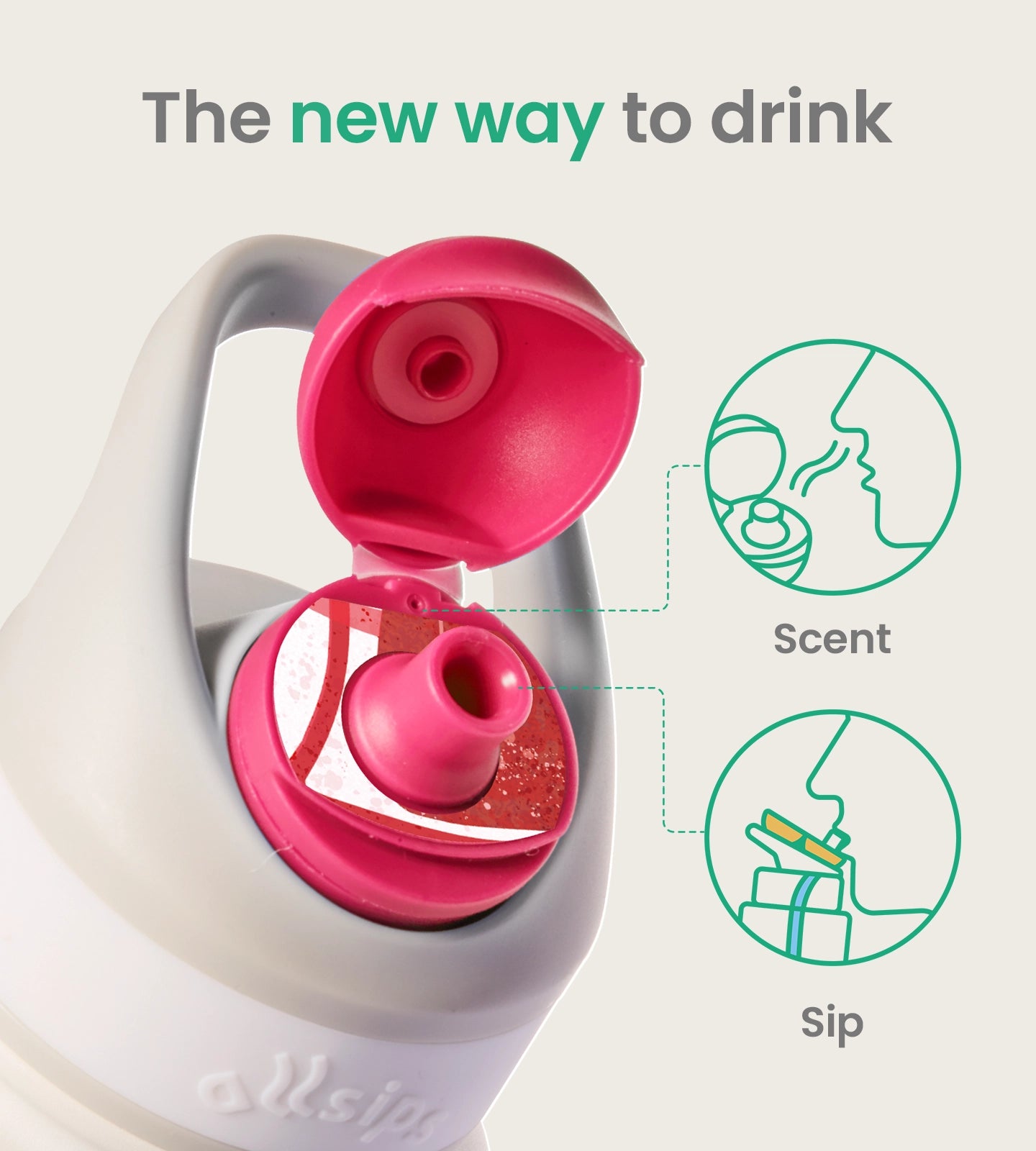 Limited Edition Bundle