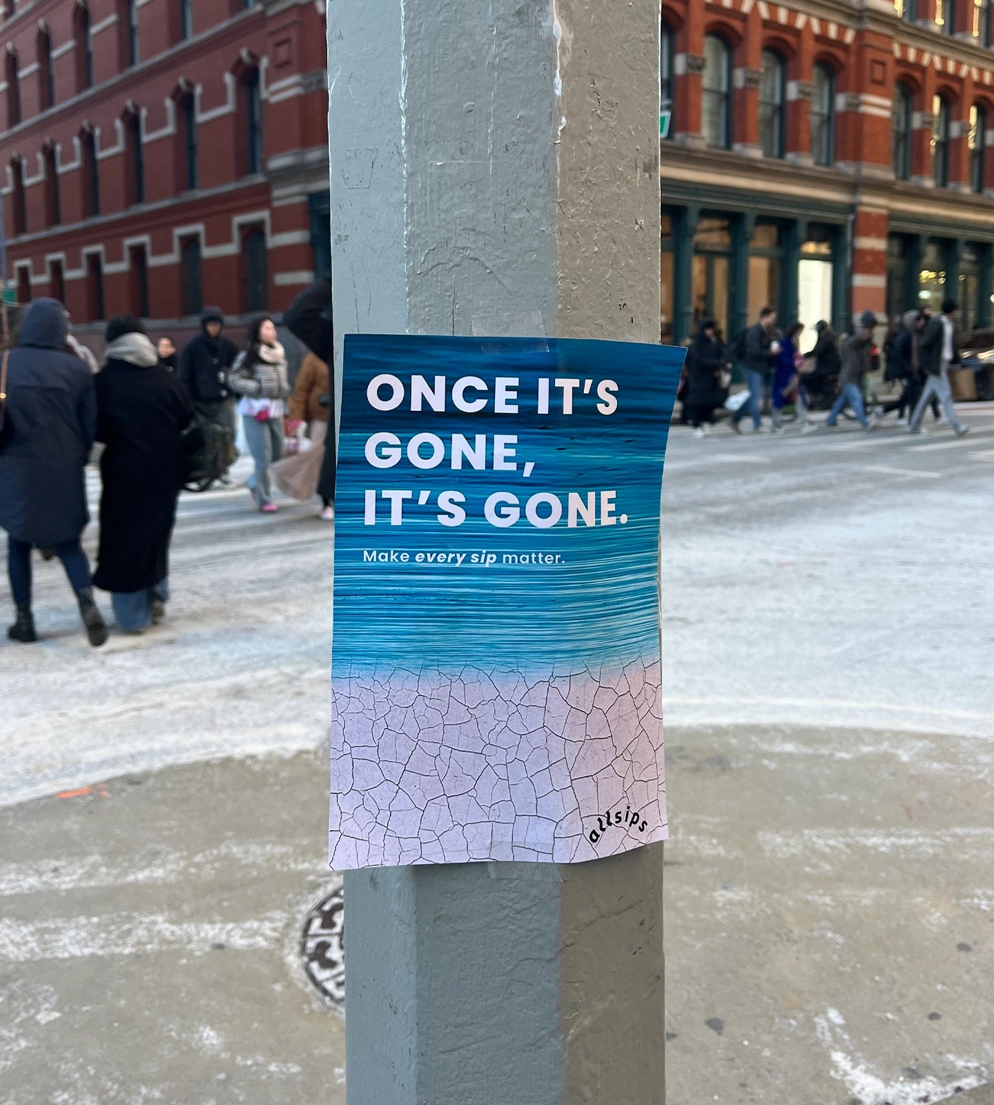 Limited Edition Bottle